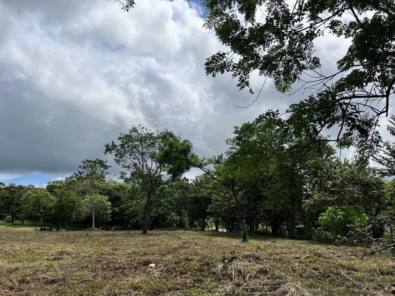 3.69 Hectares Playa Grande, Development Opportunity: Grand Development Potential in Playa Grande