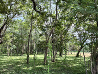 3.69 Hectares Playa Grande, Development Opportunity: Grand Development Potential in Playa Grande thumbnail