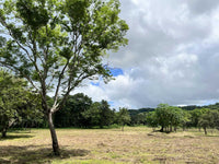 3.69 Hectares Playa Grande, Development Opportunity: Grand Development Potential in Playa Grande thumbnail
