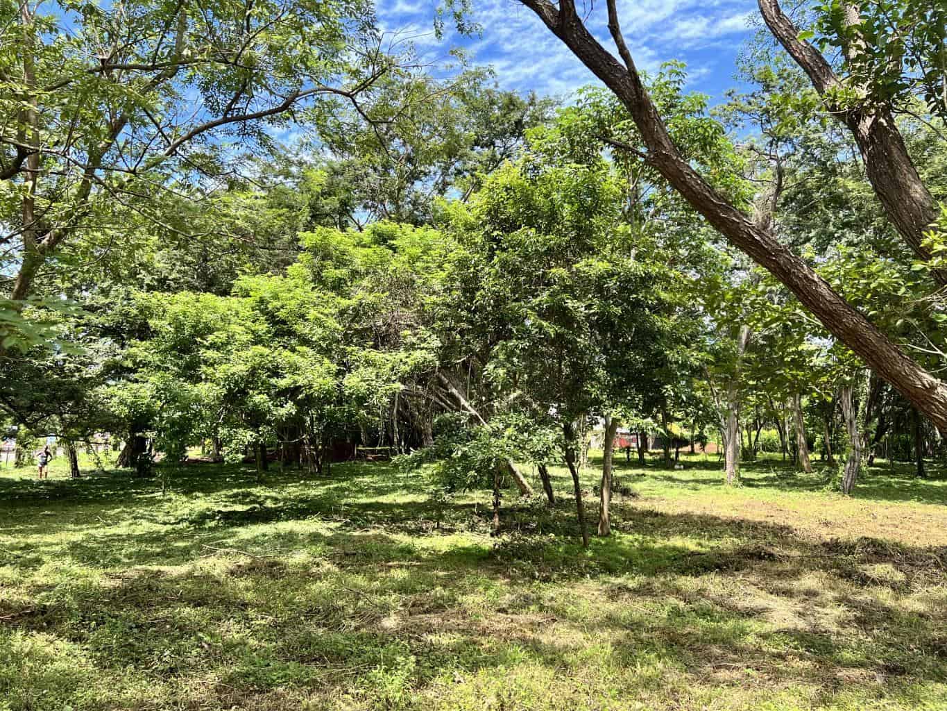 3.69 Hectares Playa Grande, Development Opportunity: Grand Development Potential in Playa Grande