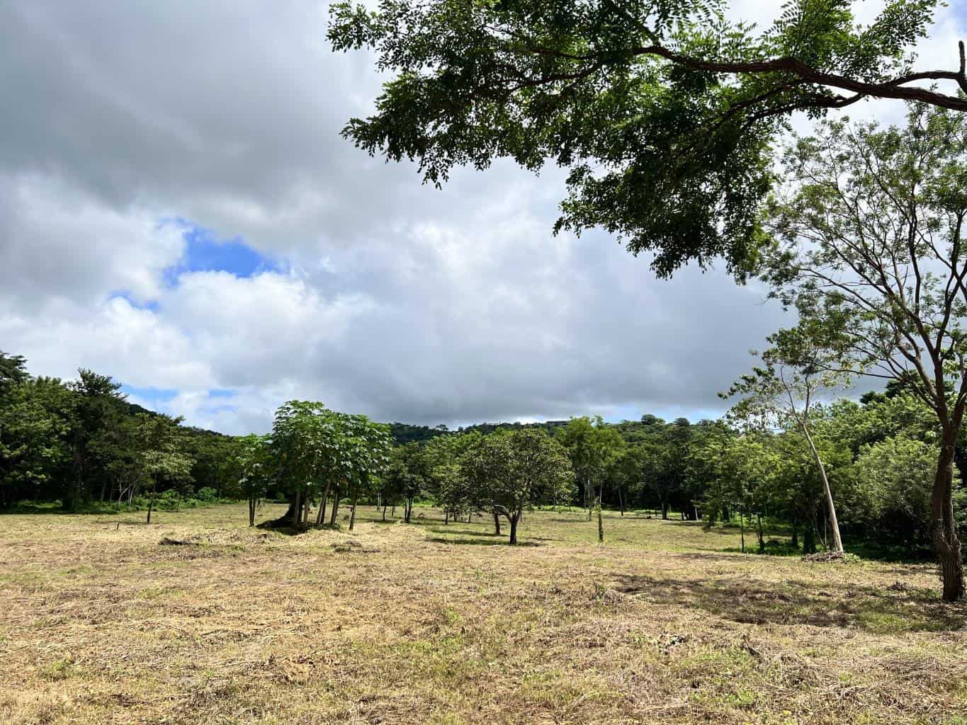 3.69 Hectares Playa Grande, Development Opportunity: Grand Development Potential in Playa Grande