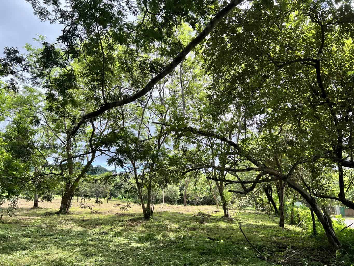 3.69 Hectares Playa Grande, Development Opportunity: Grand Development Potential in Playa Grande
