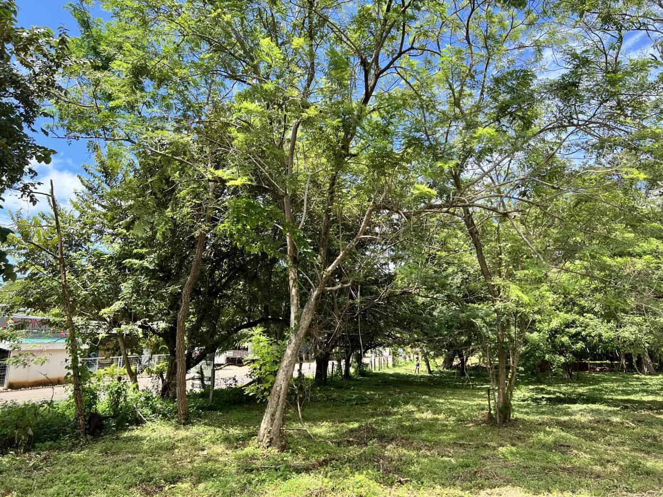 3.69 Hectares Playa Grande, Development Opportunity: Grand Development Potential in Playa Grande
