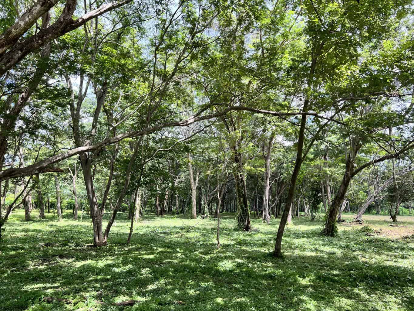 3.69 Hectares Playa Grande, Development Opportunity: Grand Development Potential in Playa Grande