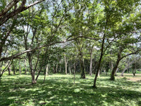 3.69 Hectares Playa Grande, Development Opportunity: Grand Development Potential in Playa Grande thumbnail