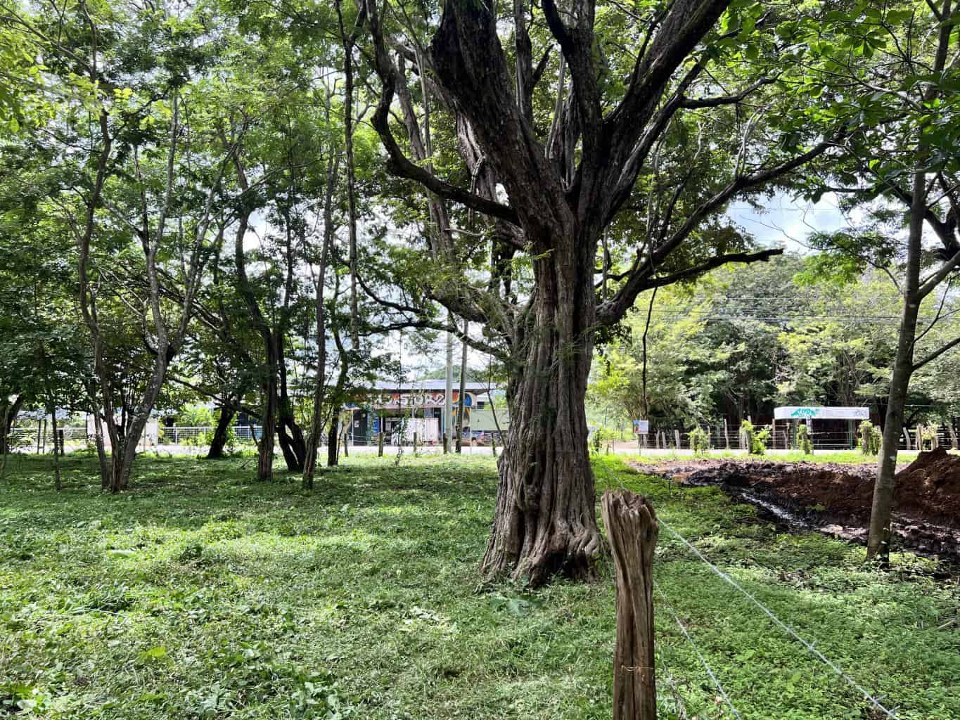 3.69 Hectares Playa Grande, Development Opportunity: Grand Development Potential in Playa Grande