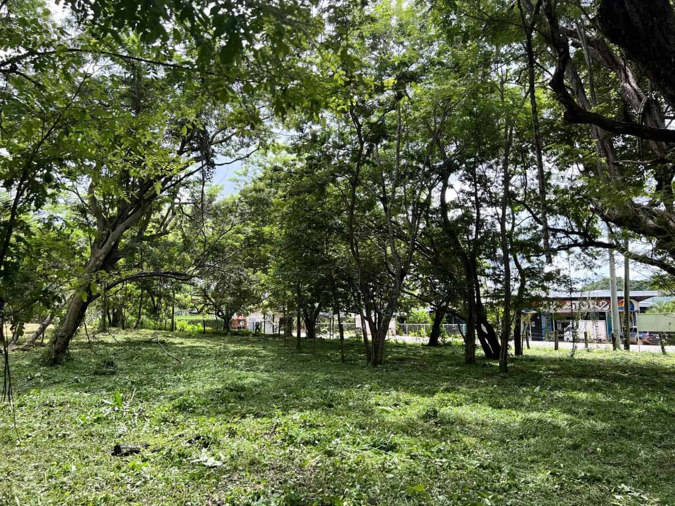 3.69 Hectares Playa Grande, Development Opportunity: Grand Development Potential in Playa Grande