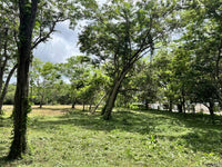 3.69 Hectares Playa Grande, Development Opportunity: Grand Development Potential in Playa Grande thumbnail
