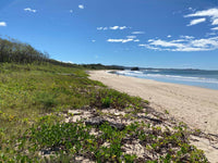 New Listing!! Playa Ventana - World-Class Address - Pristine Titled Beachfront: Unveiling a World-Class Address thumbnail