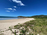 New Listing!! Playa Ventana - World-Class Address - Pristine Titled Beachfront: Unveiling a World-Class Address thumbnail