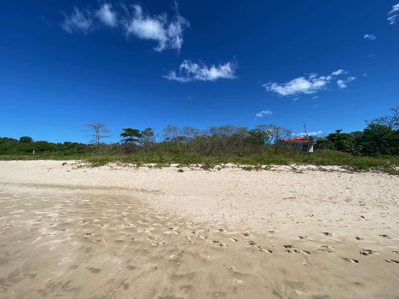 New Listing!! Playa Ventana - World-Class Address - Pristine Titled Beachfront: Unveiling a World-Class Address