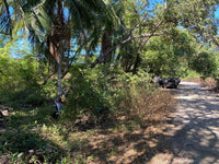 New Listing!! Playa Ventana - World-Class Address - Pristine Titled Beachfront: Unveiling a World-Class Address thumbnail