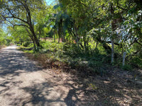 New Listing!! Playa Ventana - World-Class Address - Pristine Titled Beachfront: Unveiling a World-Class Address thumbnail