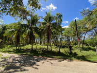 New Listing!! Playa Ventana - World-Class Address - Pristine Titled Beachfront: Unveiling a World-Class Address thumbnail