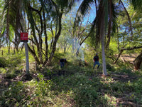 New Listing!! Playa Ventana - World-Class Address - Pristine Titled Beachfront: Unveiling a World-Class Address thumbnail