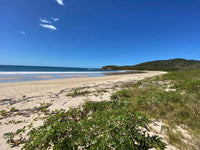 New Listing!! Playa Ventana - World-Class Address - Pristine Titled Beachfront: Unveiling a World-Class Address thumbnail