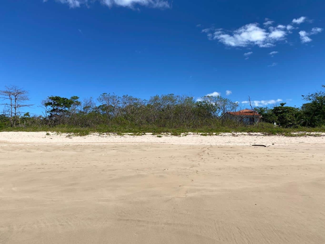 New Listing!! Playa Ventana - World-Class Address - Pristine Titled Beachfront: Unveiling a World-Class Address