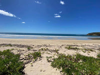 New Listing!! Playa Ventana - World-Class Address - Pristine Titled Beachfront: Unveiling a World-Class Address thumbnail
