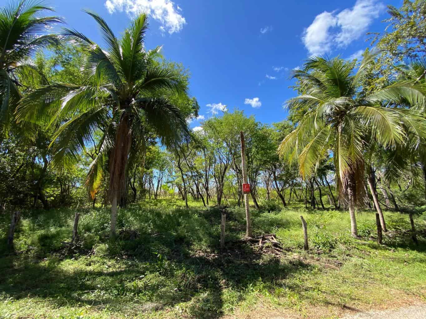 New Listing!! Playa Ventana - World-Class Address - Pristine Titled Beachfront: Unveiling a World-Class Address