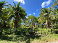 New Listing!! Playa Ventana - World-Class Address - Pristine Titled Beachfront: Unveiling a World-Class Address thumbnail