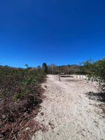 Beachfront 8975 Sq. Ft. Lot Playa Grande/Playa Ventanas: Beachfront Bliss in Playa Grande thumbnail