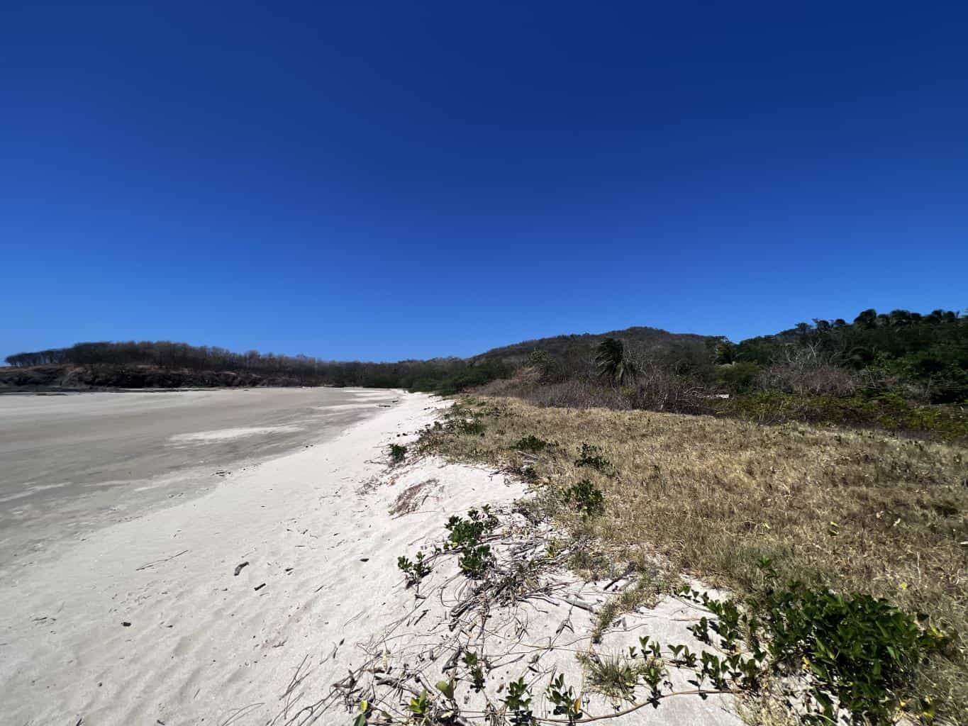 Beachfront 8975 Sq. Ft. Lot Playa Grande/Playa Ventanas: Beachfront Bliss in Playa Grande