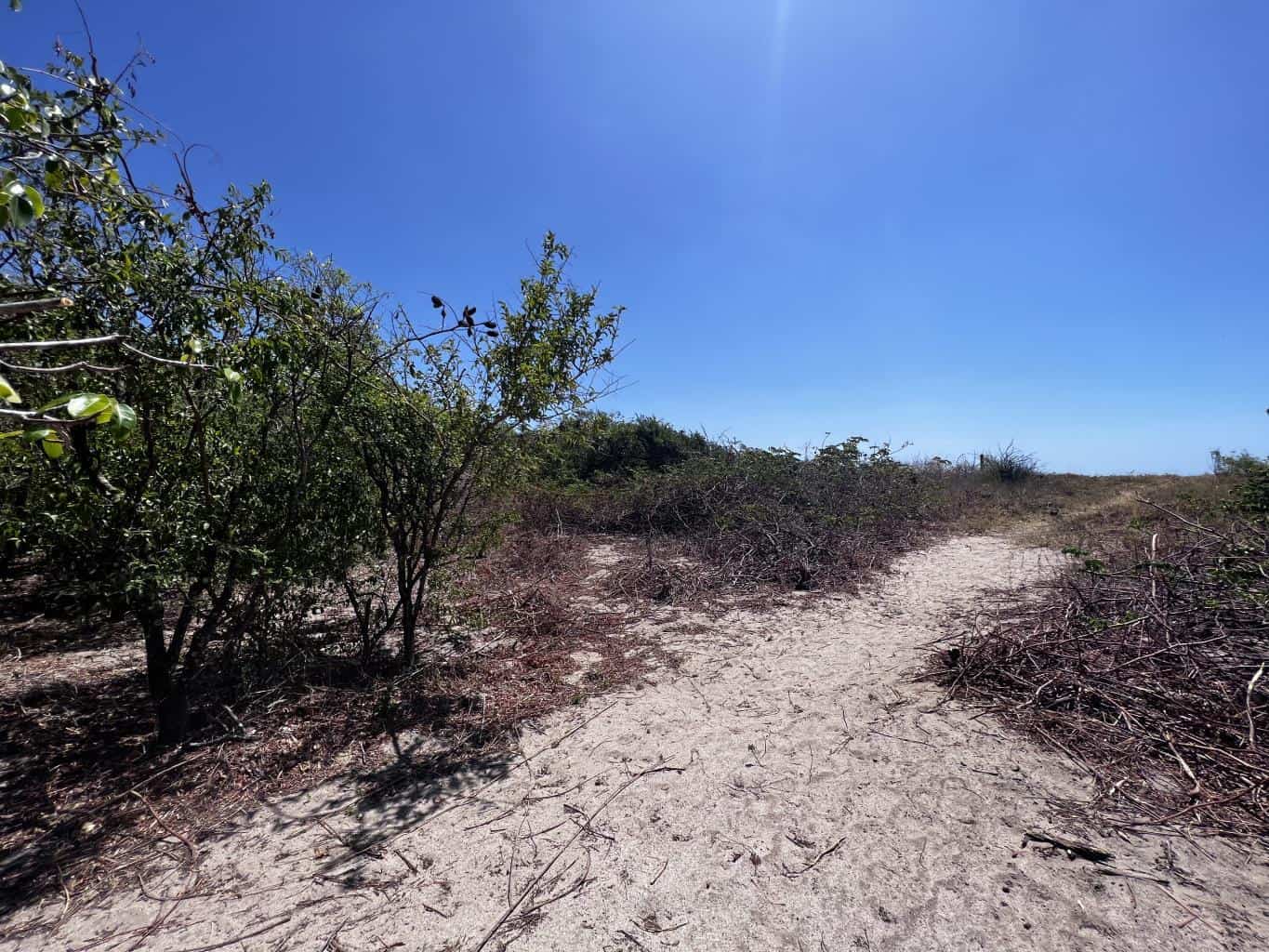 Beachfront 8975 Sq. Ft. Lot Playa Grande/Playa Ventanas: Beachfront Bliss in Playa Grande