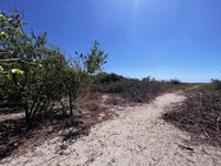 Beachfront 8975 Sq. Ft. Lot Playa Grande/Playa Ventanas: Beachfront Bliss in Playa Grande thumbnail