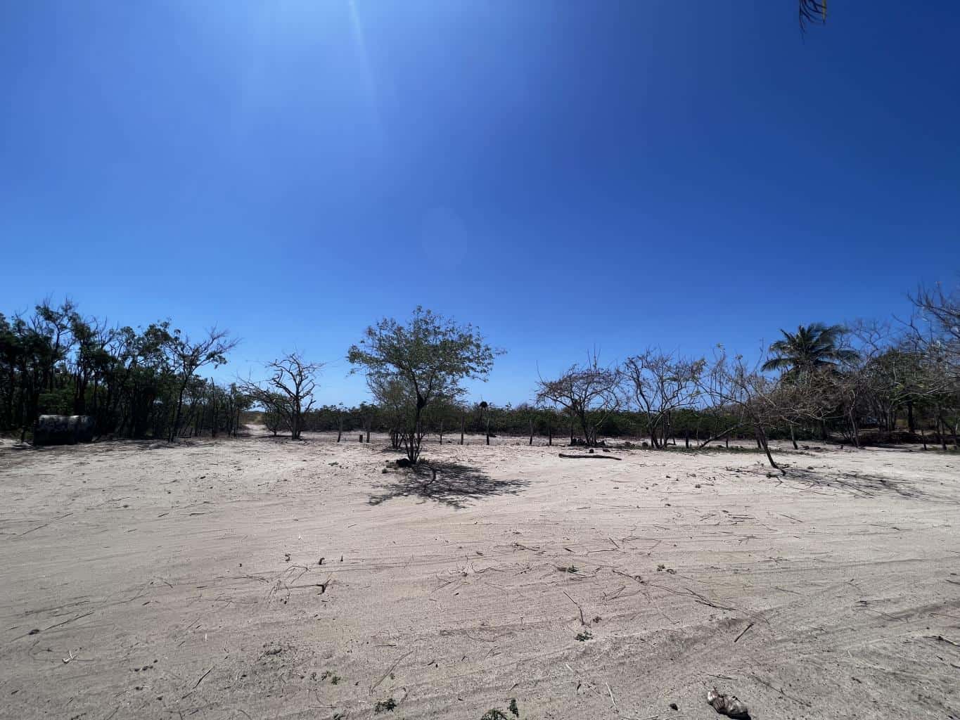 Beachfront 8975 Sq. Ft. Lot Playa Grande/Playa Ventanas: Beachfront Bliss in Playa Grande
