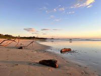 Beachfront Lot 9002.3 Sq Feet Playa Ventanas/Playa Grande: Beachfront Delight in Playa Ventanas thumbnail