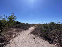 Beachfront Lot 9002.3 Sq Feet Playa Ventanas/Playa Grande: Beachfront Delight in Playa Ventanas thumbnail