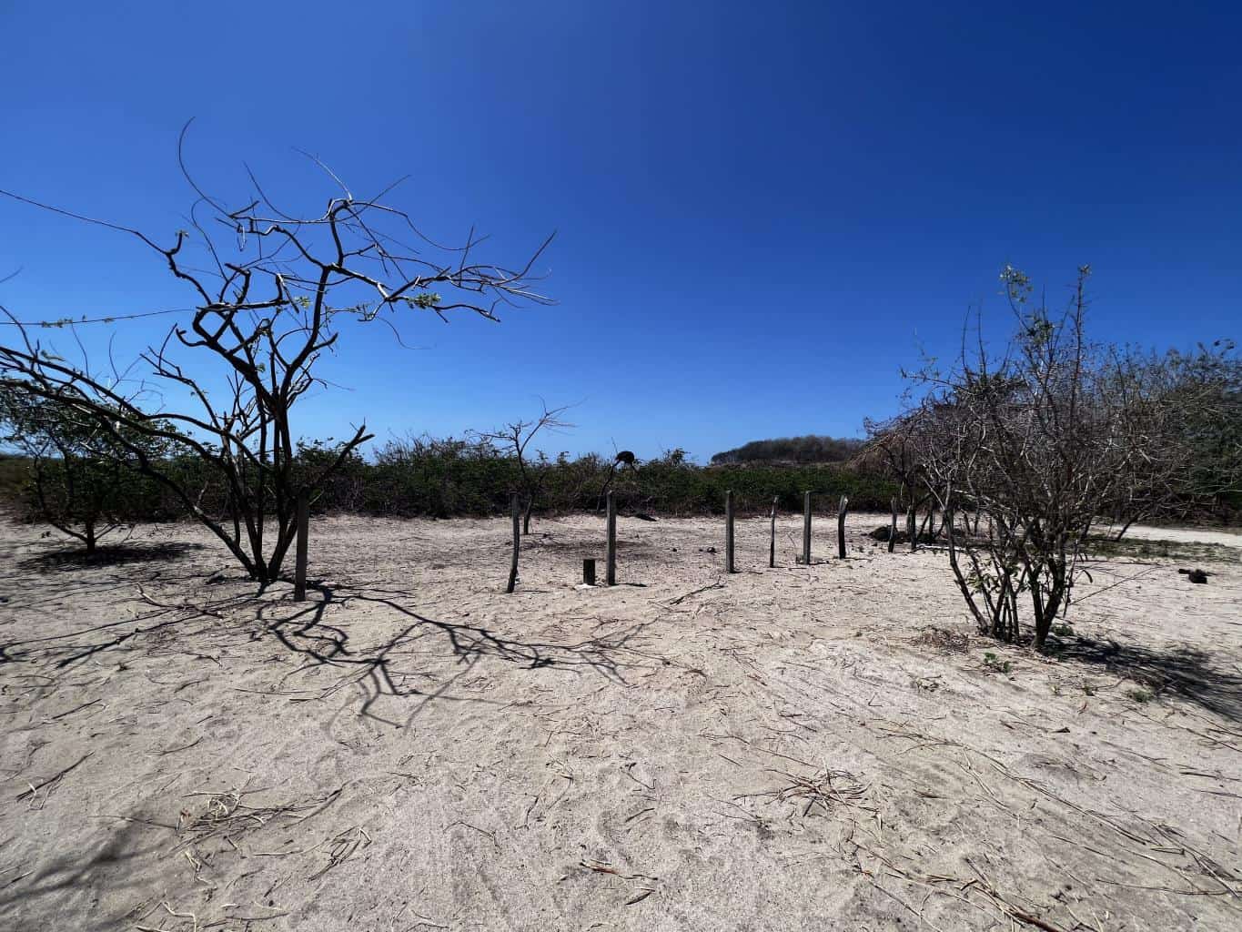 Beachfront Lot 9002.3 Sq Feet Playa Ventanas/Playa Grande: Beachfront Delight in Playa Ventanas