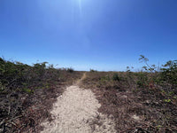 Beachfront Lot 9002.3 Sq Feet Playa Ventanas/Playa Grande: Beachfront Delight in Playa Ventanas thumbnail