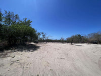 Beachfront Lot 9002.3 Sq Feet Playa Ventanas/Playa Grande: Beachfront Delight in Playa Ventanas thumbnail