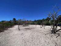 Beachfront Lot 9002.3 Sq Feet Playa Ventanas/Playa Grande: Beachfront Delight in Playa Ventanas thumbnail
