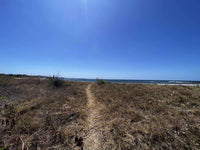 Beachfront Lot 9002.3 Sq Feet Playa Ventanas/Playa Grande: Beachfront Delight in Playa Ventanas thumbnail