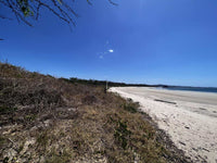 Beachfront Lot 9002.3 Sq Feet Playa Ventanas/Playa Grande: Beachfront Delight in Playa Ventanas thumbnail