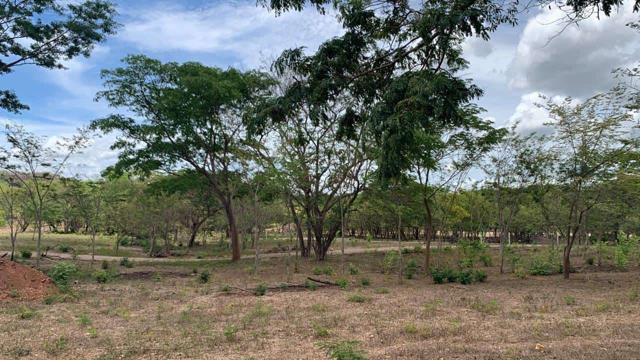 Lot 6 – Matapalo Springs