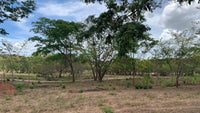 Lot 6 – Matapalo Springs thumbnail