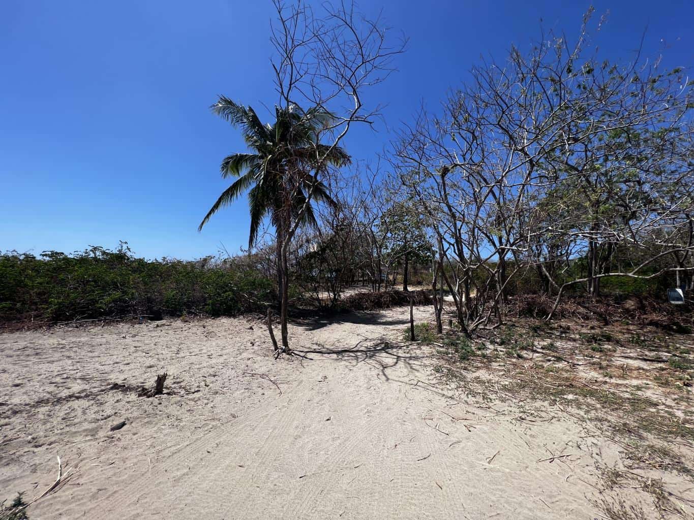 Beachfront Lot 9002.3 Sq Feet Playa Ventanas/Playa Grande: Beachfront Delight in Playa Ventanas