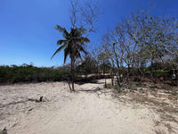 Beachfront Lot 9002.3 Sq Feet Playa Ventanas/Playa Grande: Beachfront Delight in Playa Ventanas thumbnail