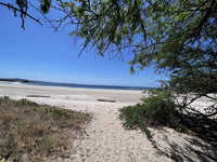 Beachfront Lot 9002.3 Sq Feet Playa Ventanas/Playa Grande: Beachfront Delight in Playa Ventanas thumbnail