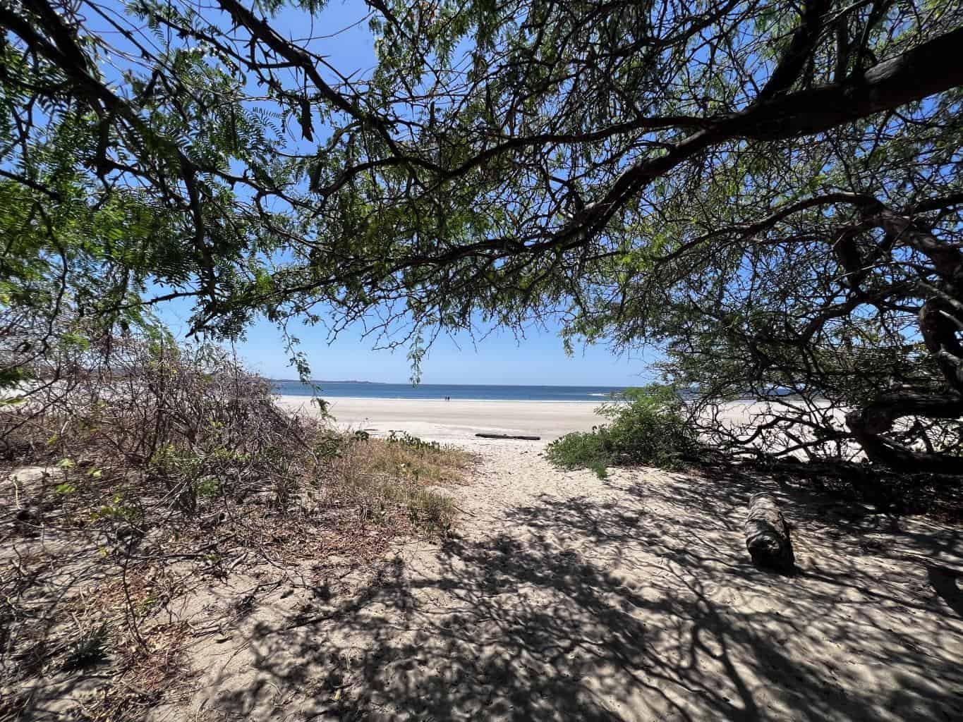 Beachfront Lot 9002.3 Sq Feet Playa Ventanas/Playa Grande: Beachfront Delight in Playa Ventanas