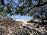 Beachfront Lot 9002.3 Sq Feet Playa Ventanas/Playa Grande: Beachfront Delight in Playa Ventanas thumbnail