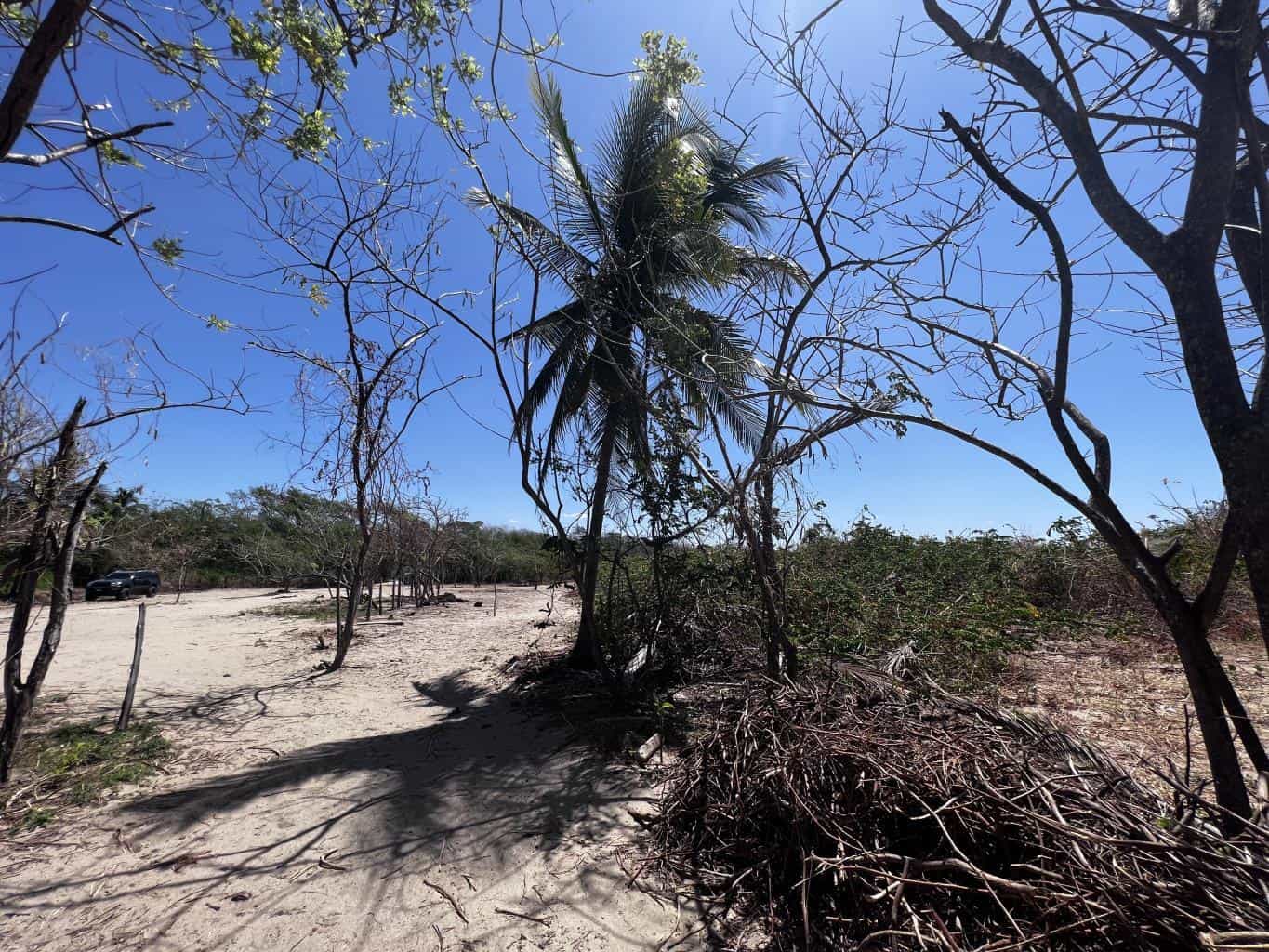 Beachfront Lot 9002.3 Sq Feet Playa Ventanas/Playa Grande: Beachfront Delight in Playa Ventanas
