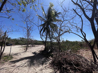Beachfront Lot 9002.3 Sq Feet Playa Ventanas/Playa Grande: Beachfront Delight in Playa Ventanas thumbnail