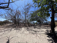 Beachfront Lot 9002.3 Sq Feet Playa Ventanas/Playa Grande: Beachfront Delight in Playa Ventanas thumbnail