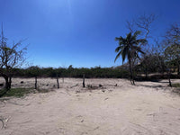 Beachfront Lot 9002.3 Sq Feet Playa Ventanas/Playa Grande: Beachfront Delight in Playa Ventanas thumbnail
