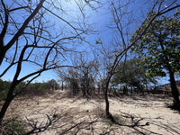 Beachfront Lot 9002.3 Sq Feet Playa Ventanas/Playa Grande: Beachfront Delight in Playa Ventanas thumbnail