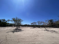 Beachfront Lot 9002.3 Sq Feet Playa Ventanas/Playa Grande: Beachfront Delight in Playa Ventanas thumbnail